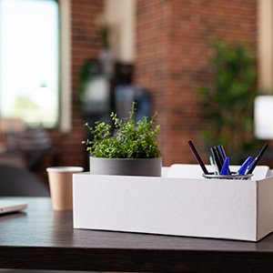 Desk Trays